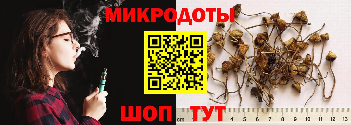 Клин  Галлюциногенные грибы Psilocybe  Вход с VPN 